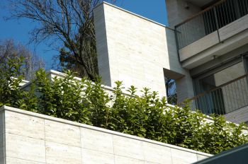Páfrányliget utca családi villa (3)