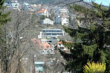 Páfrányliget utca családi villa (2)