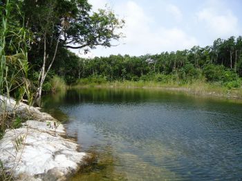 Mexico Üdülőtelep (14)